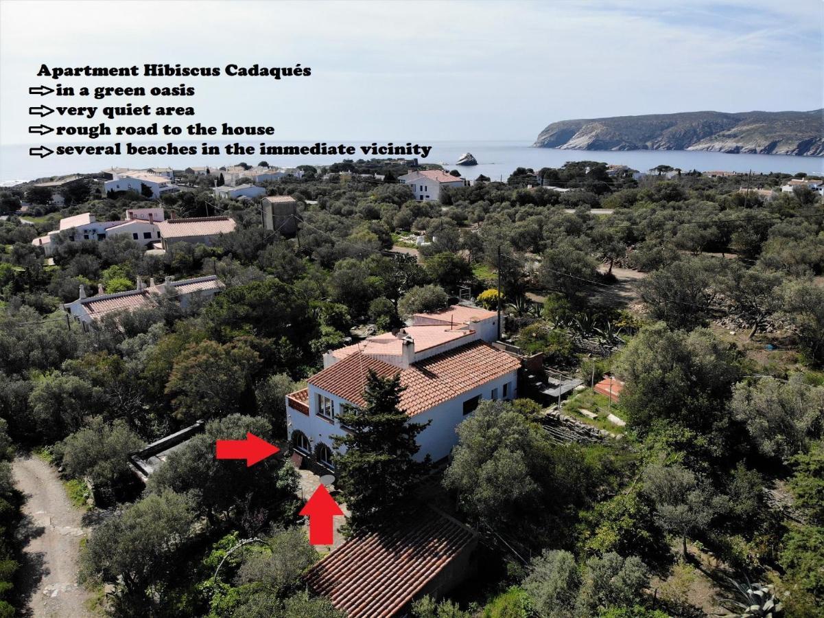 Apartment Hibiscus Cadaqués Εξωτερικό φωτογραφία